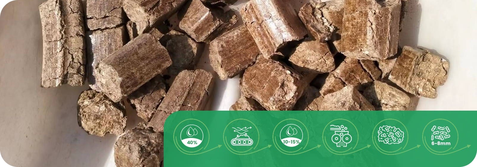 Biomass Briquettes